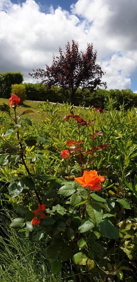 Ca Rosanna Bed and Breakfast Rocca San Felice Eksteriør billede